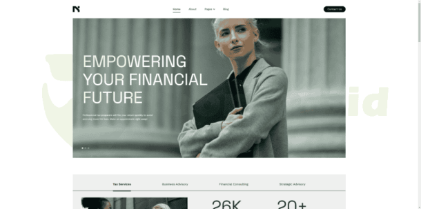 NestFund - A sleek and professional for service firms