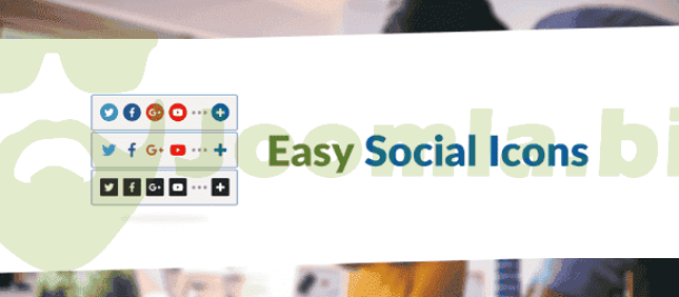 JS Easy Social Icons Pro
