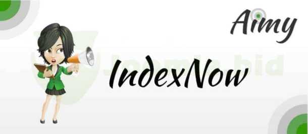 Aimy IndexNow Pro