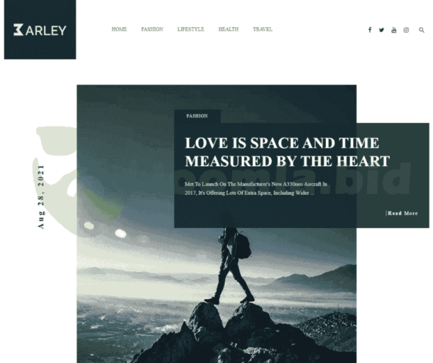 Barley - Blog and Magazine (ThemeForest)