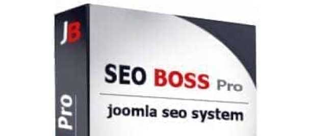 SEO Boss Pro