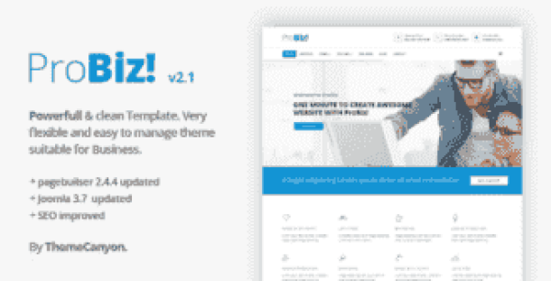 ProBiz! - Creative Business (ThemeForest)