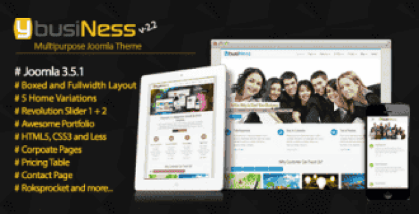 YbusiNess - Responsive Business (ThemeForest)