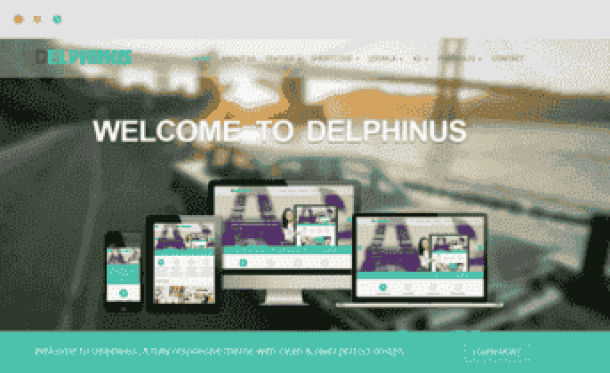 Delphinus - JoomlaUX