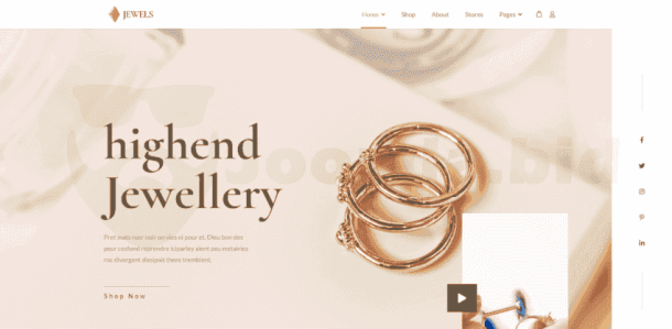 Jewels - Jewellery & Watch (EasyStore)